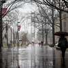 Bell tower on a rainy day