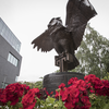 Owl statue
